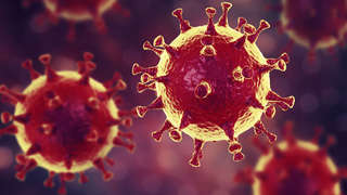content/600-10/15847216990_bilder-gesellschaft-16_9coronavirus_ms_320.jpg
